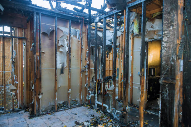 Professional Fire Damage Removal technician working in Ben Bolt, TX